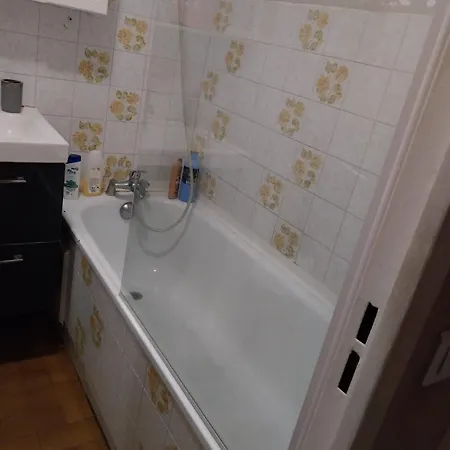 L'or Dans La Partner ניס